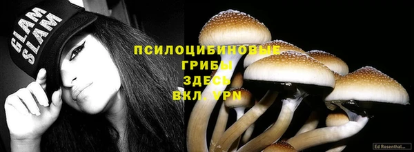 гашик Иннополис