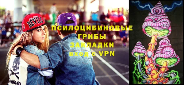 твердый Касимов