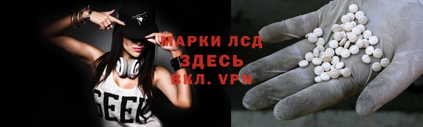 apvp Каменка