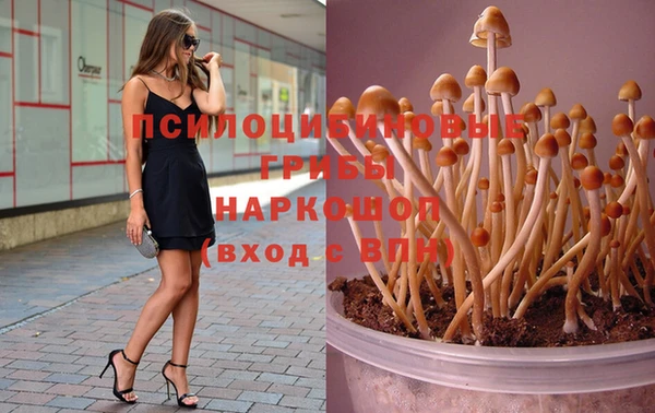 гашик Иннополис