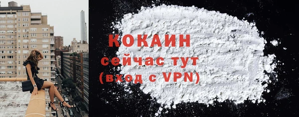 молекула духа Каменск-Шахтинский