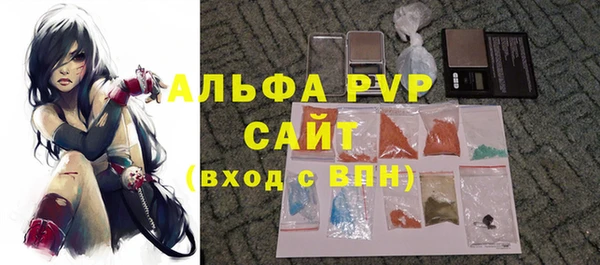 молекула духа Каменск-Шахтинский