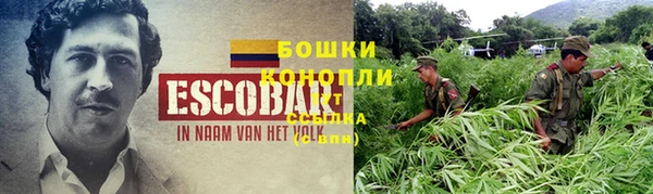гашик Иннополис