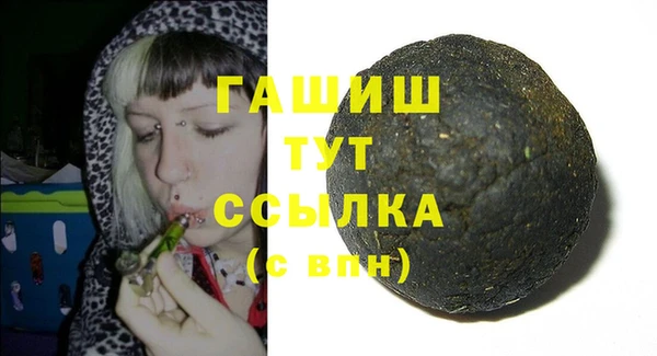 apvp Каменка