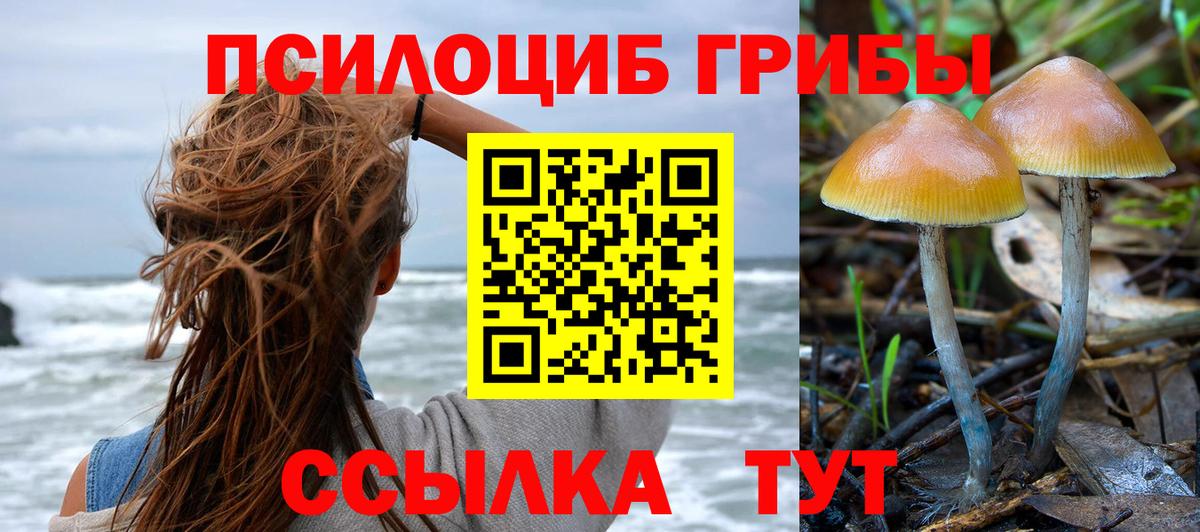Галлюциногенные грибы мухоморы  Вход с VPN  Минусинск 