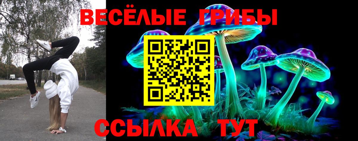 Галлюциногенные грибы ЛСД  Вход с VPN  Минусинск 